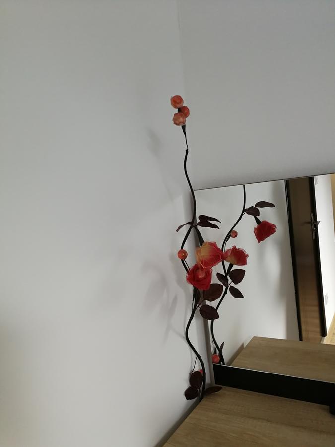 House Apartment Minerilor 클루지나포카 외부 사진