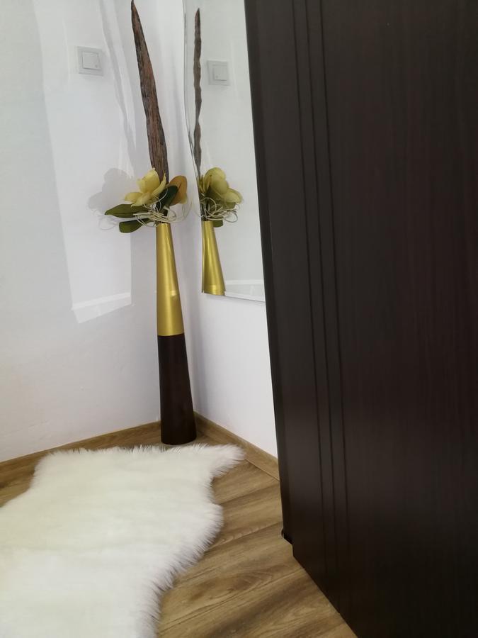 House Apartment Minerilor 클루지나포카 외부 사진