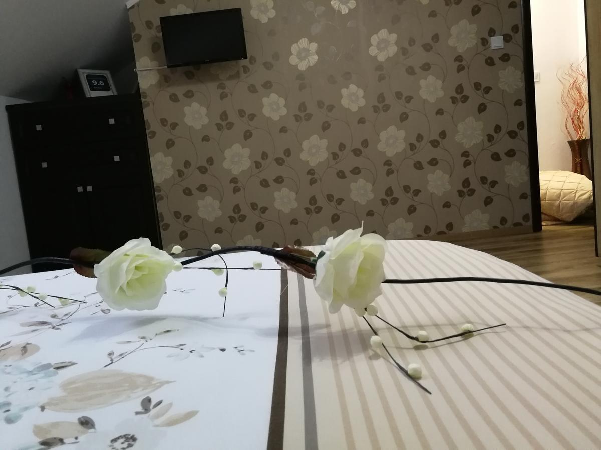 House Apartment Minerilor 클루지나포카 외부 사진
